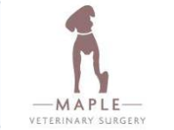 Maple Vet Surgery