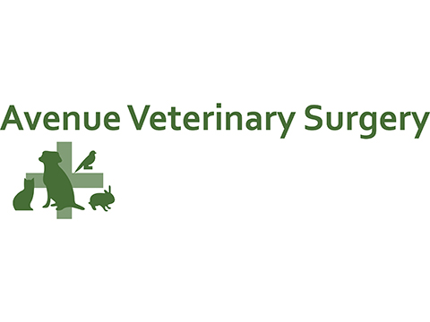 Avenue Veterinary Surgery - Redcar