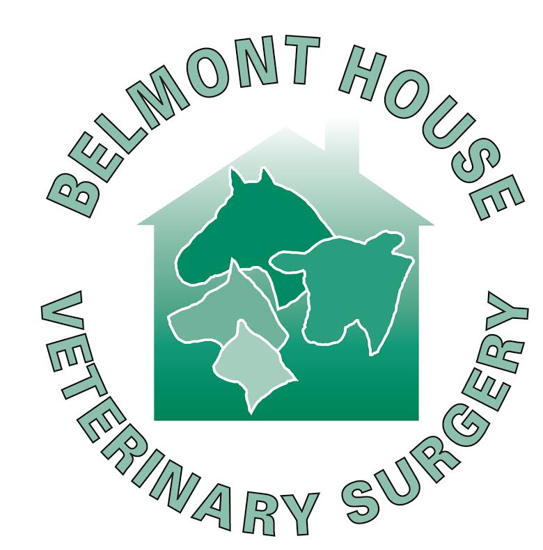 Belmont Veterinary Clinic