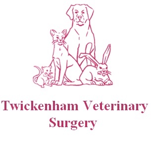 Twickenham Veterinary Surgery