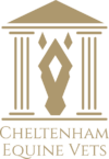 Cheltenham Equine Vets