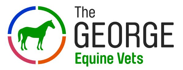 The George Equine Vet