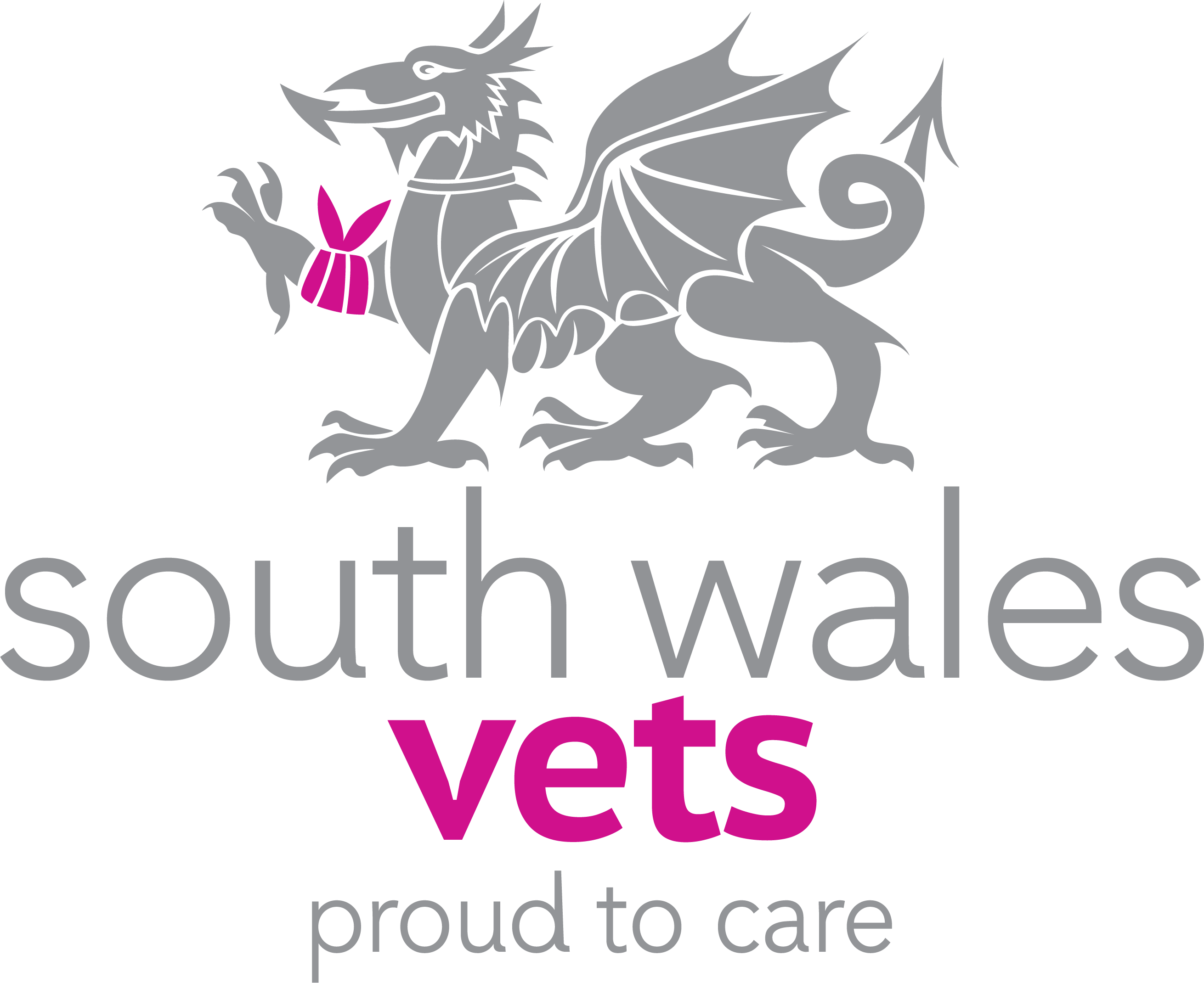 South Wales Vets, Risca