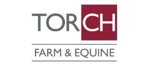 Torch Farm and Equine - Bideford