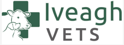 Iveagh Veterinary Surgery