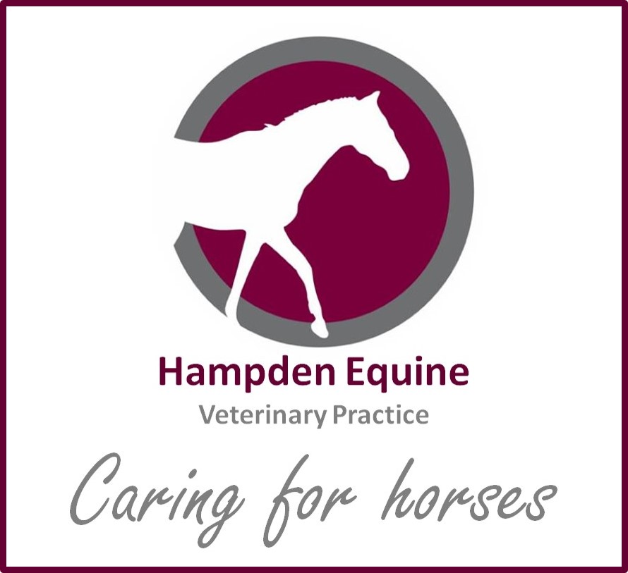 Hampden Equine Veterinary Practice