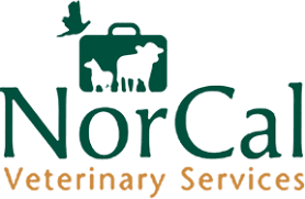 Norcal Veterinary Services