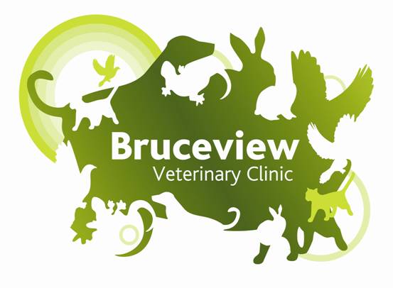 Bruceview Veterinary Clinic